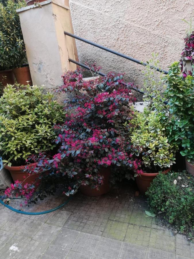 Tra Gianicolo E Trastevere Rome Bagian luar foto