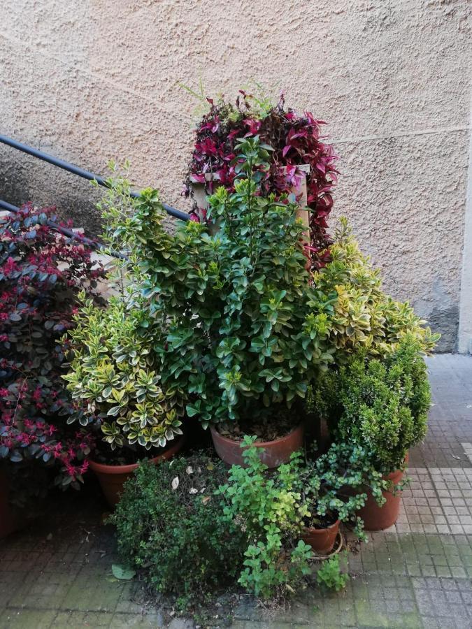 Tra Gianicolo E Trastevere Rome Bagian luar foto
