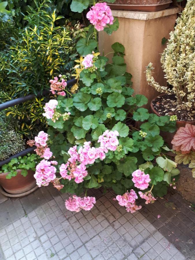 Tra Gianicolo E Trastevere Rome Bagian luar foto